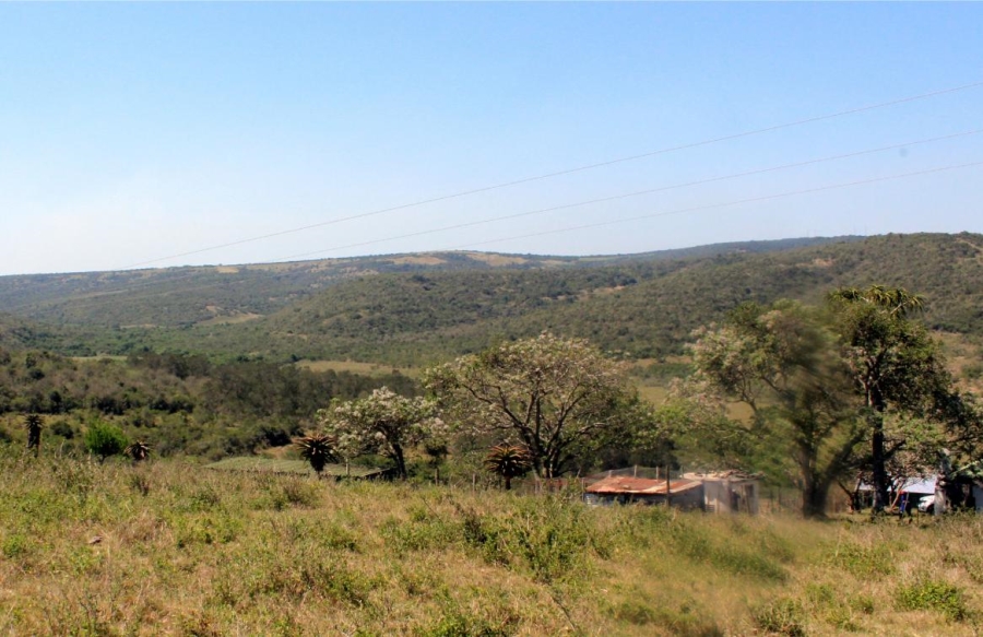 Commercial Property for Sale in Komga Rural Eastern Cape